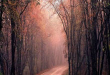 旺财28：[国际足球]领先三球被扳平 曼联惊险进决赛.