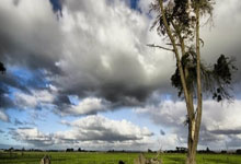 还记得他吗？马里亚诺时隔1046天再次收获进球.