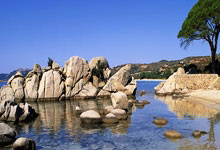 旺财28：第二届上海合作组织雪地足球赛开赛 揭幕战中国队胜出中国新闻网.